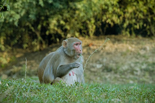 Comprendre le Recrutement Prédictif : Une Révolution dans le Processus de Sélection